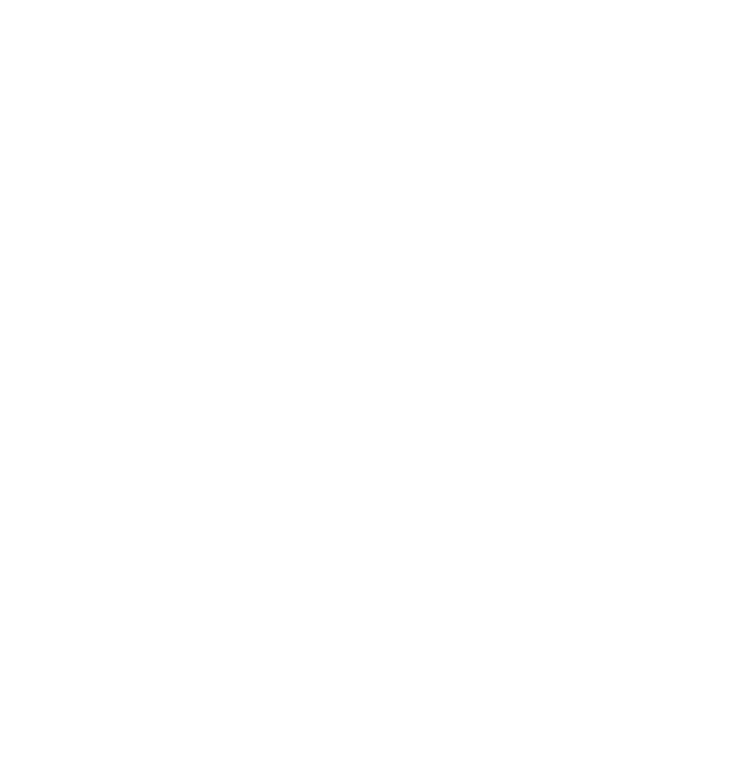 Logo Livandi Wit